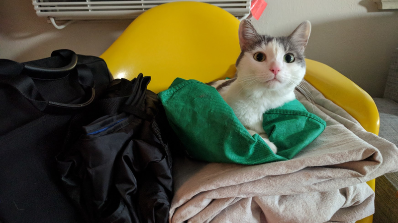 Grocery bags./ Verdict: 5/10